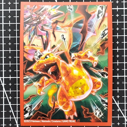 Pokemon Charizard Sleeve (second-life)
